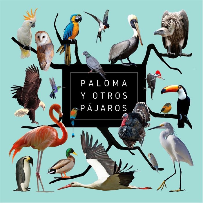 Portada de Paloma y otros pájaros